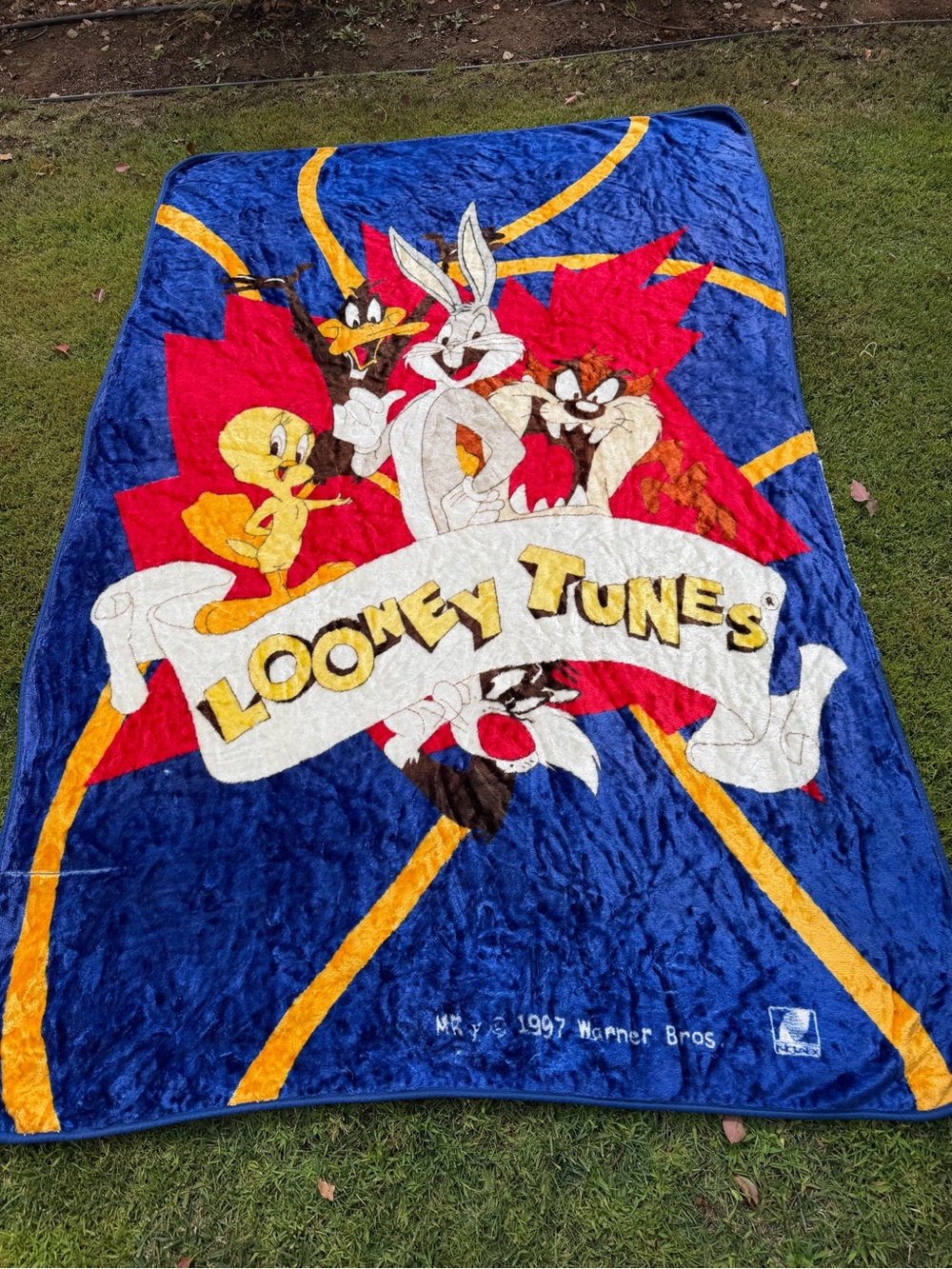VTG 90s Novatex Looney Tunes Minky Plush Blanket Bugs Tweety Taz 58x88 HTF FLAWS